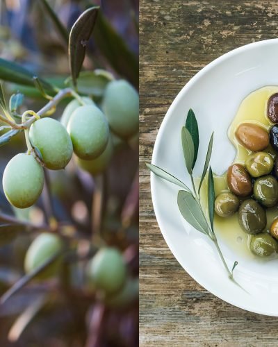 Montfort Oakville Mediterranean Cuisine - Olive Oil